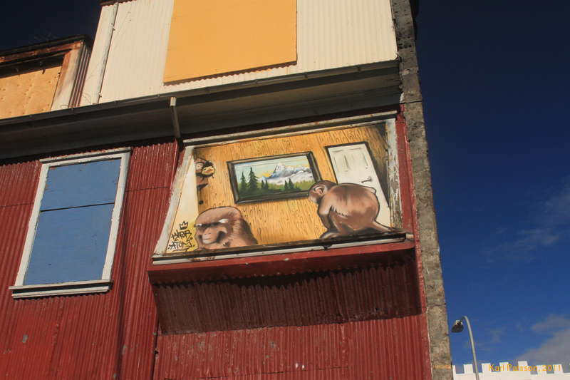 Looking in a window?