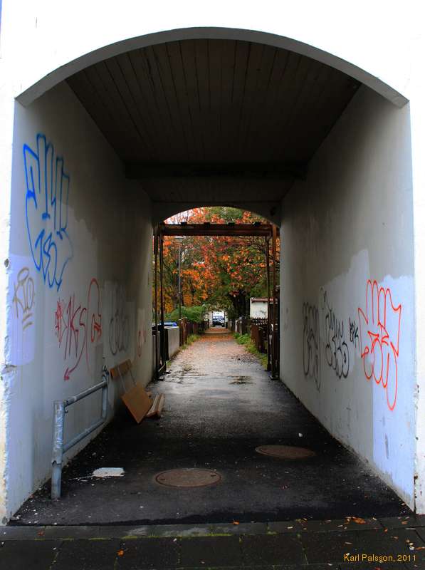 Autumn in the alley