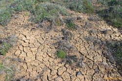 Dry ground