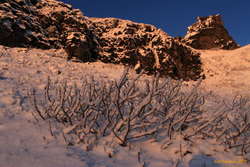 In the spray zone at Gullfoss