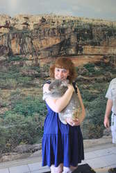 Hugging a koala
