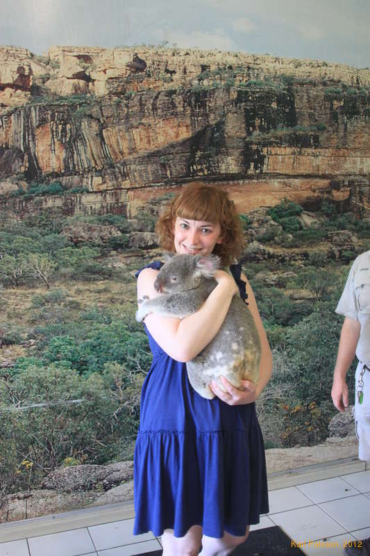 Hugging a koala