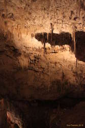 Monster straws (~5m)