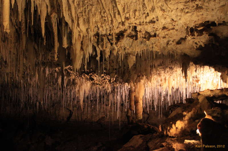 Nice straws in Jewel Cave