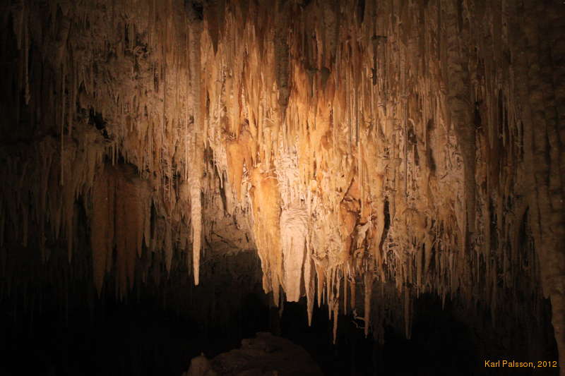 Helictites everywhere