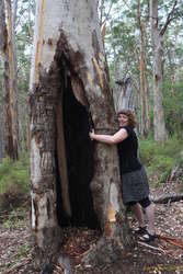 Kata found one she liked