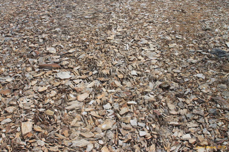 Rhyolite makes good flakes