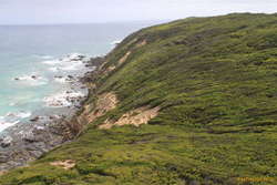 Sliding into the sea, Cape Otway