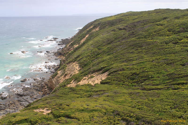 Sliding into the sea, Cape Otway