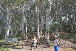 Kata and Mum amongst the gum trees