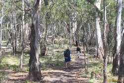 Mum and Kata walking towards the Governor