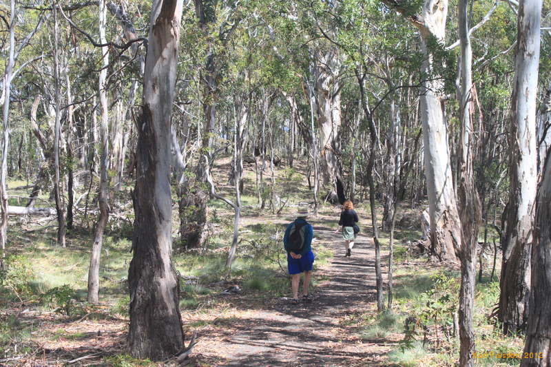 Mum and Kata walking towards the Governor