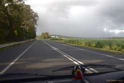 Canefields and gum trees, near Grafton