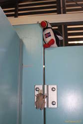 More of Lulli's friends