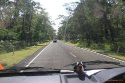 Lulli on the road again