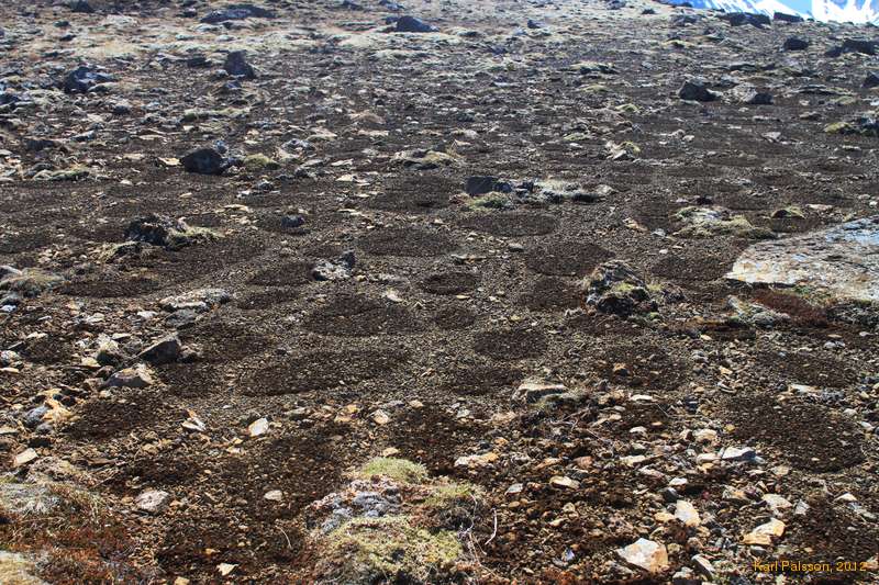 Interesting melt patterns