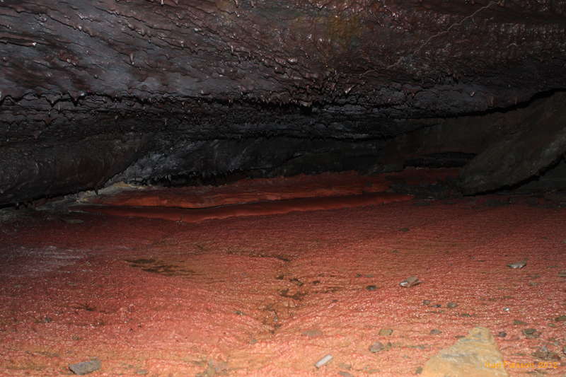 Lovely red cream section