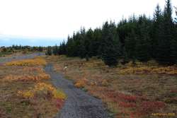 Riding in Heiðmörk