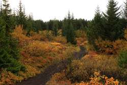 Heiðmörk in Autumn
