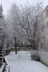 At least it's pretty