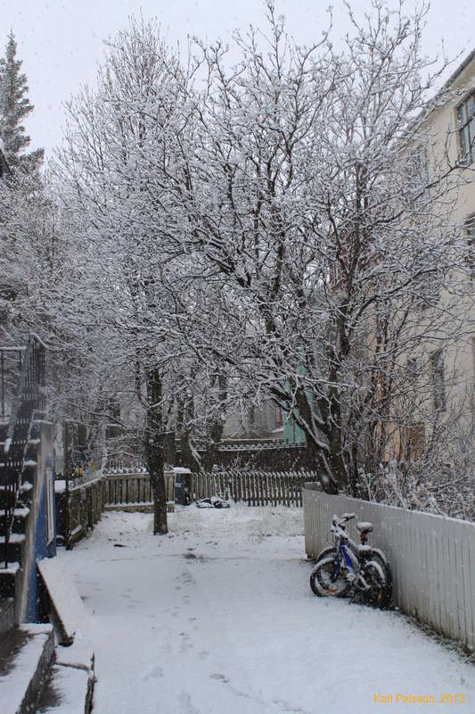 At least it's pretty