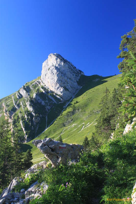 Lance Sud de Malissard, with our track over the Col de Bellefont on the right