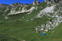 Campground in the morning