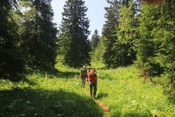 Charline and Jared, near Habert de la Dame