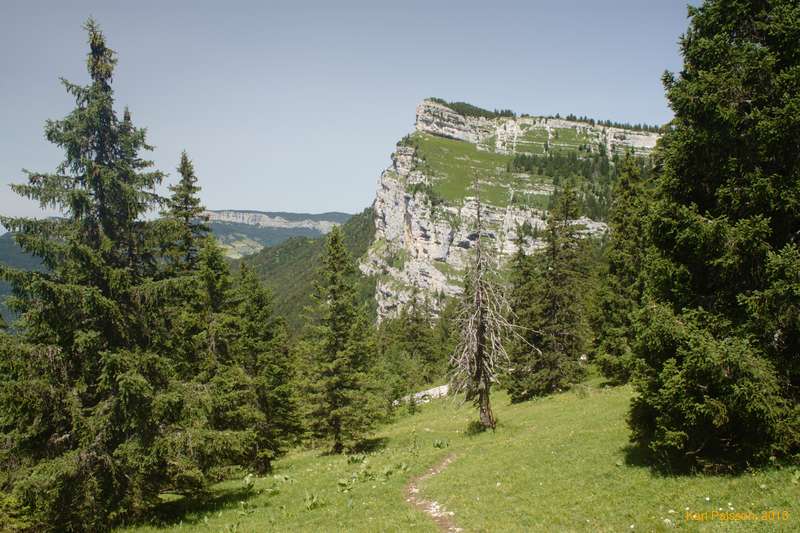 Strolling through the mountains