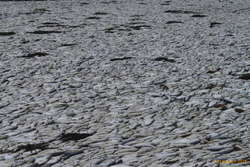 The tide lines them up