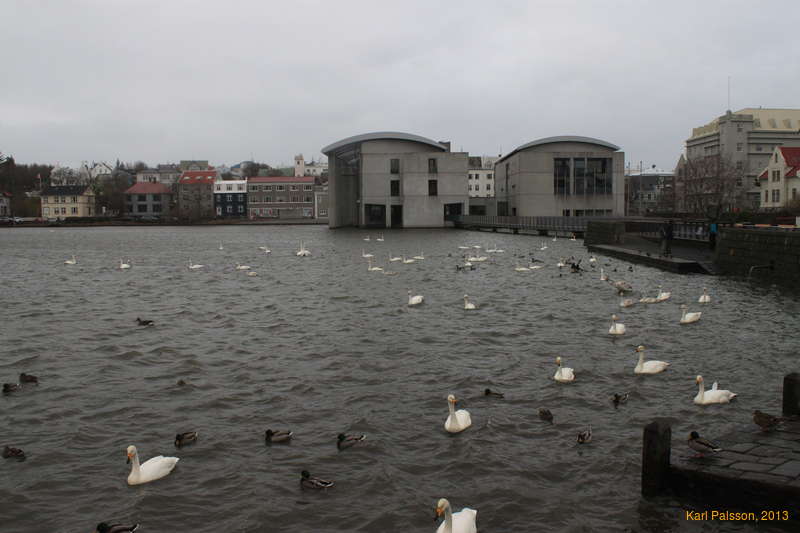 Can't always be sunny