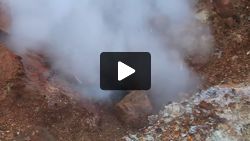 The pit pants with anticipation