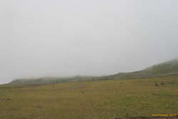 Not promising weather