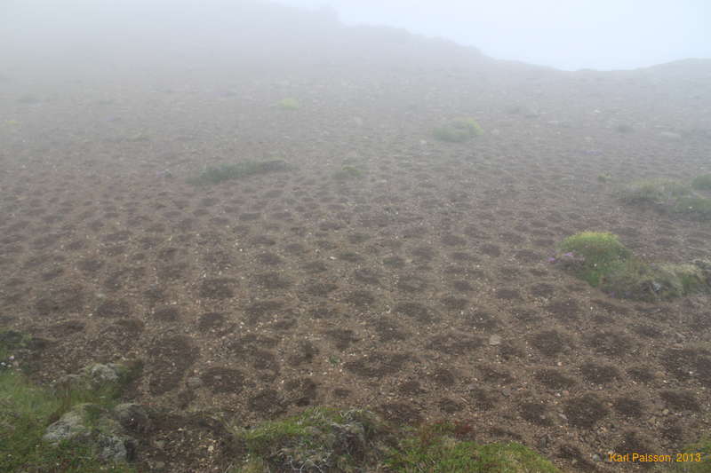 More cool melt/thaw patterns