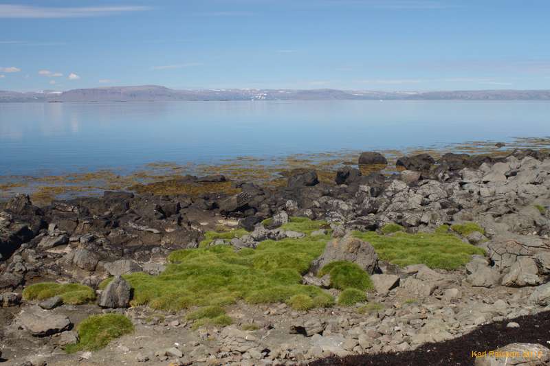 Grass down to the water's edge