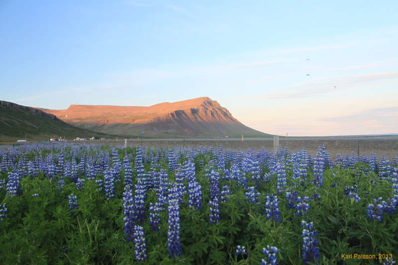 Sunset in the Westfjords, looking at Hamarshyrna
