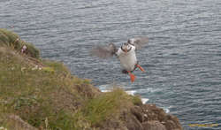 I believe I can fly!