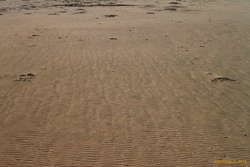 Patterns in the sand