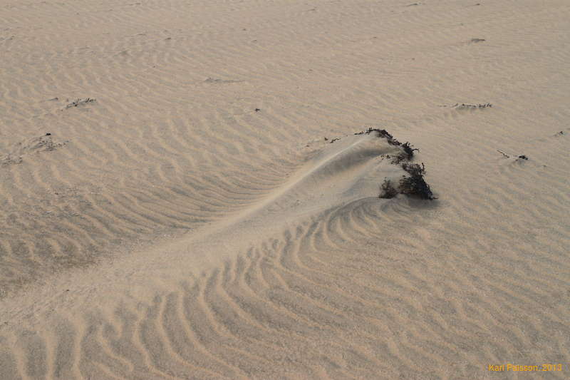 Patterns in the sand