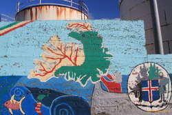 The west fjords dragon