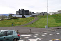 Unusual mowing pattern