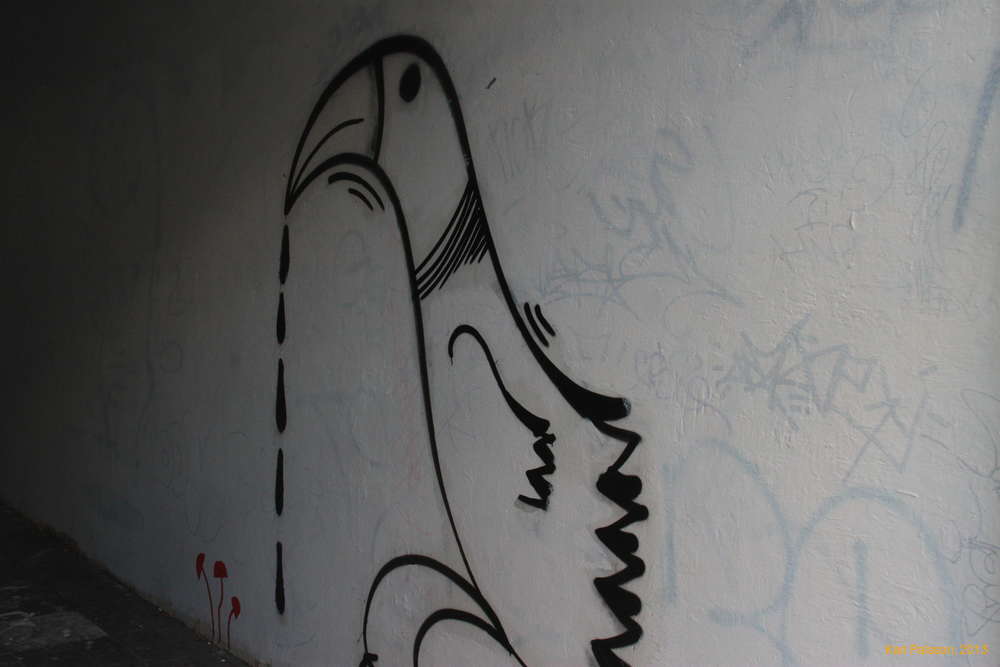 Bird with a runny nose?