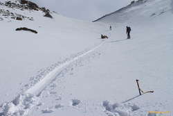 Glissading for fun and profit