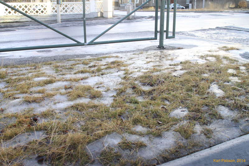 That time of year again