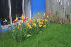 Changing of the guard