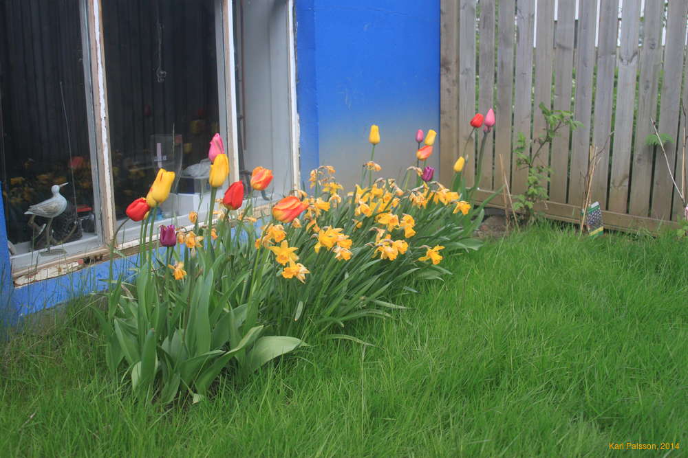 Changing of the guard