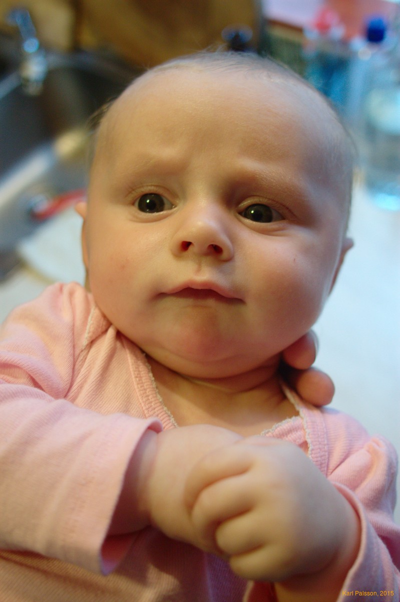 Stella in the kitchen