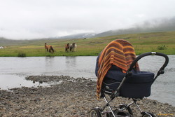 Skagafjörður beach party