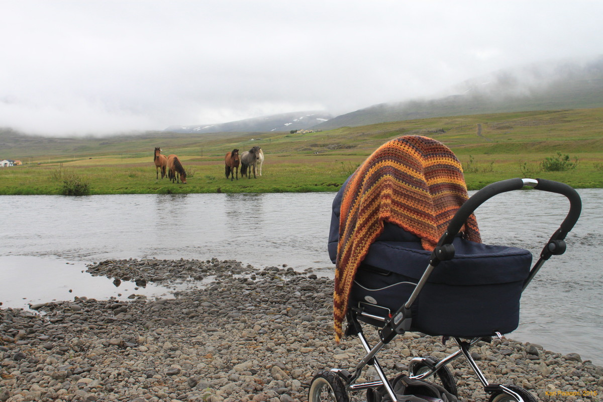 Skagafjörður beach party