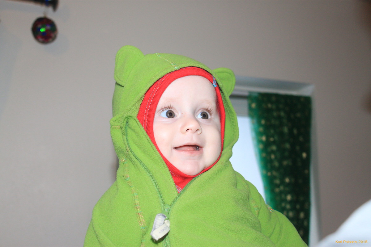 Stella is a happy frog